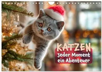 Calvendo Katzen &ndash; Jeder Moment ein Abenteuer, Wandkalender 2027 DIN A4 quer