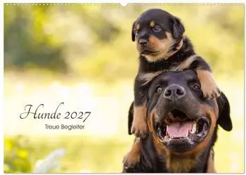 Calvendo Hunde 2027 &ndash; Treue Begleiter Wandkalender DIN A2 quer