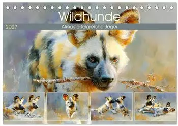 Calvendo Wildhunde &ndash; Afrikas erfolgreiche J&auml;ger, Tischkalender 2027 DIN A5 quer
