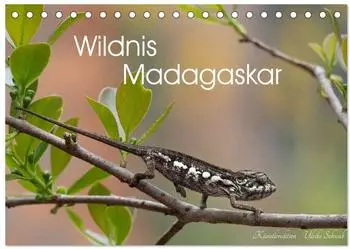 Calvendo Wildnis Madagaskar Tischkalender 2027 DIN A5 quer, Monatskalender