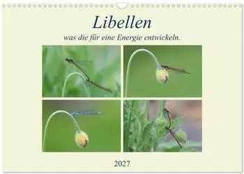 Calvendo Wandkalender 2027 &bdquo;Libellen, was die f&uuml;r eine Energie entwickeln" DIN A3 quer