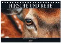HIRSCHE UND REHE - Ein Jahr in freier Wildbahn (Tischkalender 2027 DIN A5 quer),