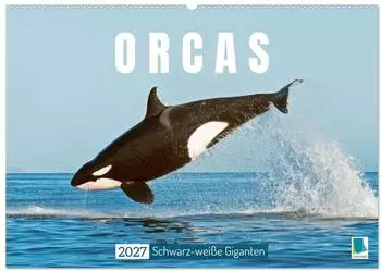 Calvendo Orcas: Schwarz-wei&szlig;e Giganten Wandkalender 2027 DIN A2 quer
