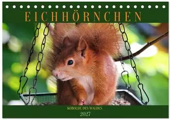 Calvendo Eichhörnchen, Kobolde des Waldes – Tischkalender 2027 DIN A5 quer
