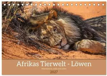 Calvendo Afrikas Tierwelt - L&ouml;wen Tischkalender 2027 DIN A5 quer