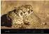 360° medien Namibia Premiumkalender 2027, 50x35cm (Thomas Dressler)