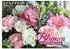 Calvendo Blumen - Eine bunte Mischung Tischkalender 2027 DIN A5 quer