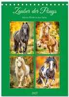 Zauber der Ponys. Kleine Pferde in der Natur (Tischkalender 2027 DIN A5 hoch),