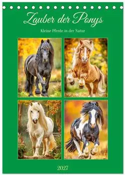 Calvendo Zauber der Ponys &ndash; Kleine Pferde in der Natur, Tischkalender 2027 DIN A5