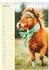 Calvendo Zauber der Ponys – Kleine Pferde in der Natur, Tischkalender 2027 DIN A5