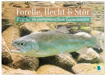 Calvendo Wandkalender 2027 „Forelle, Hecht und Stör: Fische in europäischen Gewässern" DIN A3 quer