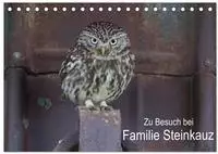 Zu Besuch bei Familie Steinkauz (Tischkalender 2027 DIN A5 quer), CALVENDO