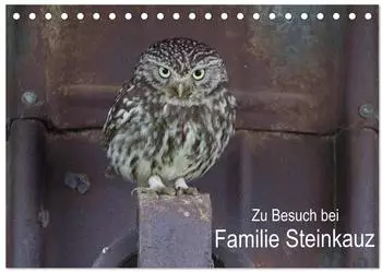 Calvendo Tischkalender 2027 &bdquo;Zu Besuch bei Familie Steinkauz" DIN A5 quer