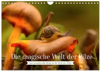 Calvendo Wandkalender 2027 &bdquo;Die magische Welt der Pilze" DIN A4 quer