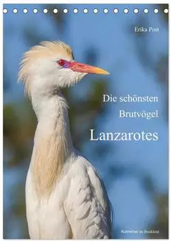 Calvendo Tischkalender 2027 &bdquo;Die sch&ouml;nsten Brutv&ouml;gel Lanzarotes" DIN A5 hoch
