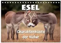 Esel - Charakterk&ouml;pfe der Natur (Tischkalender 2027 DIN A5 quer), CALVENDO