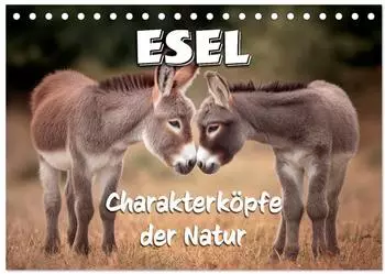Calvendo Tischkalender 2027 &bdquo;Esel - Charakterk&ouml;pfe der Natur" DIN A5 quer