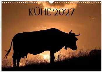Calvendo K&uuml;he 2027 Wandkalender, DIN A3 quer, Monatskalender