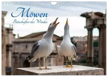 Calvendo Wandkalender 2027 &bdquo;M&ouml;wen &ndash; Botschafter des Windes" DIN A4 quer