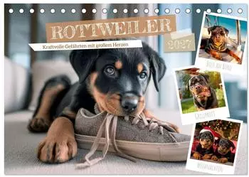 Calvendo Rottweiler &bdquo;Kraftvolle Gef&auml;hrten mit gro&szlig;em Herzen" Tischkalender 2027 DIN A5 quer