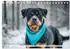 Calvendo Rottweiler „Kraftvolle Gefährten mit großem Herzen