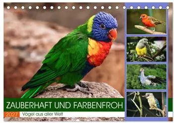 Calvendo Tischkalender 2027 &bdquo;Zauberhaft und farbenfroh" DIN A5 quer