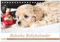 Bolonka Babykalender 2027 (Tischkalender 2027 DIN A5 quer), CALVENDO...