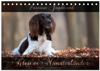Calvendo Passion Jagdhund - Kleiner M&uuml;nsterl&auml;nder Tischkalender 2027 DIN A5 quer