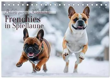 Calvendo Tischkalender 2027 "Frenchies in Spiellaune" DIN A5 quer