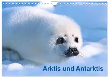 Calvendo Wandkalender 2027 "Arktis und Antarktis" DIN A4 quer