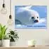 Calvendo Wandkalender 2027 
