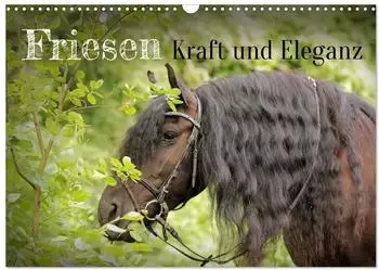 Calvendo Friesen &ndash; Kraft und Eleganz Wandkalender 2027, DIN A3 quer