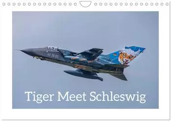 Calvendo Tiger Meet Schleswig Wandkalender 2027, DIN A4 quer