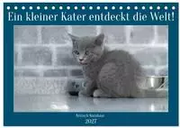 Ein kleiner Kater entdeckt die Welt! (Tischkalender 2027 DIN A5 quer), CALVENDO