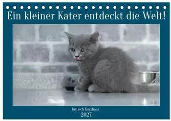 Calvendo Tischkalender 2027 &bdquo;Ein kleiner Kater entdeckt die Welt" DIN A5 quer