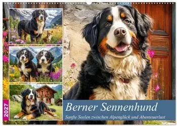 Calvendo Wandkalender 2027 &bdquo;Berner Sennenhund. Sanfte Seelen zwischen Alpengl&uuml;ck und Abenteuerlust" DIN A2 quer