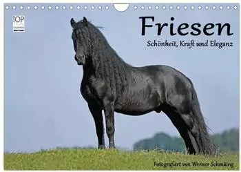 Calvendo Wandkalender 2027 &bdquo;Friesen &ndash; Sch&ouml;nheit, Kraft und Eleganz" DIN A4 quer