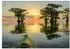 Calvendo Natur Paradies Mississippi Delta Tischkalender 2027 (DIN A5 quer)