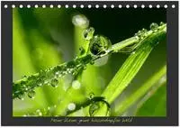 Meine kleine gr&uuml;ne Wassertropfen Welt (Tischkalender 2027 DIN A5 quer),...