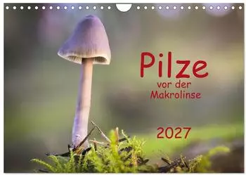 Calvendo Pilze vor der Makrolinse 2027 Wandkalender DIN A4 quer