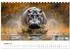 Calvendo Tischkalender 2027 
