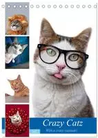 Crazy Catz. (Tischkalender 2027 DIN A5 hoch), CALVENDO Monatskalender