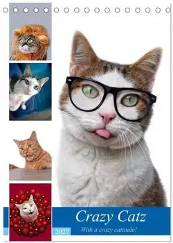 Calvendo Crazy Catz Tischkalender 2027 DIN A5 hoch