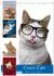 Calvendo Crazy Catz Tischkalender 2027 DIN A5 hoch