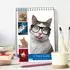 Calvendo Crazy Catz Tischkalender 2027 DIN A5 hoch