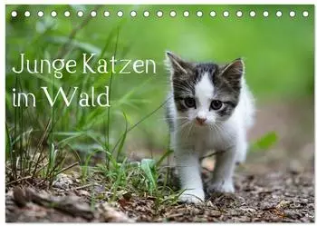 Calvendo Junge Katzen im Wald Tischkalender 2027 DIN A5 quer
