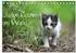Calvendo Junge Katzen im Wald Tischkalender 2027 DIN A5 quer
