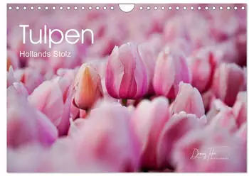 Calvendo Wandkalender 2027 "Tulpen - Hollands Stolz" DIN A4 quer
