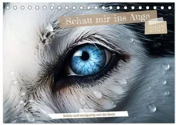 Calvendo Tischkalender 2027 &bdquo;Schau mir ins Auge" DIN A5 quer