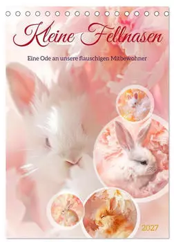 Calvendo Kleine Fellnasen Tischkalender 2027 DIN A5 hoch
